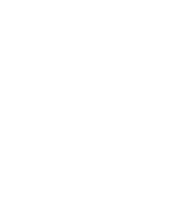 VCS Logo